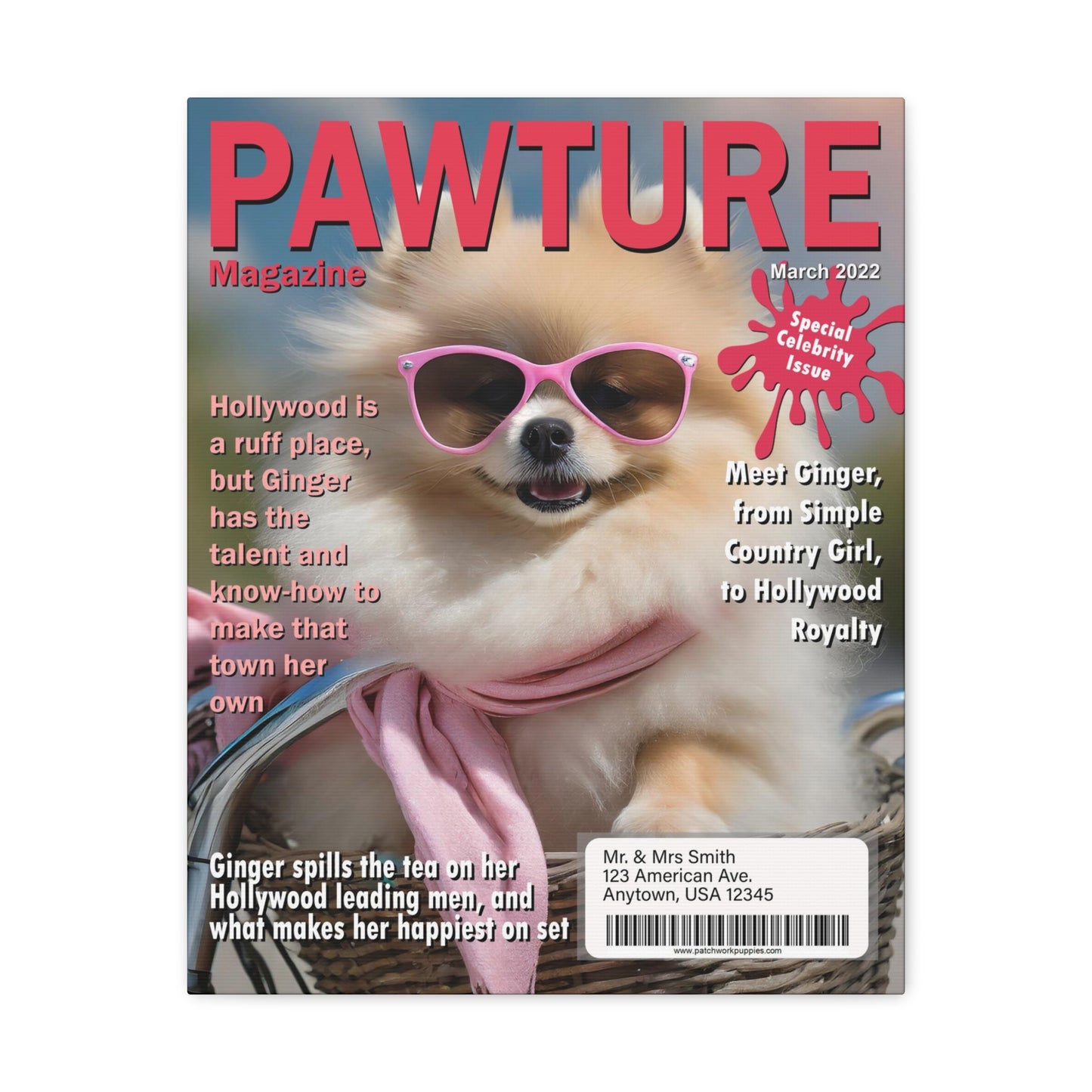 Pawture Magazine - Make Your Pet a Celebrity