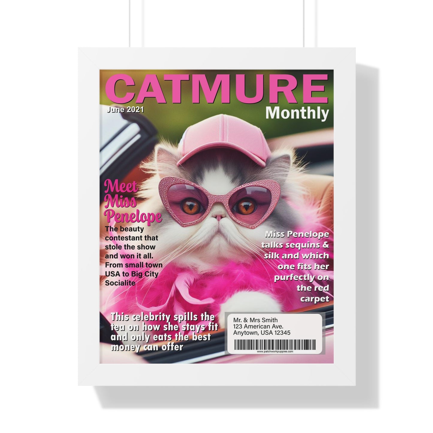 CATMURE Monthly Magazine - Make Your Pet a Celebrity